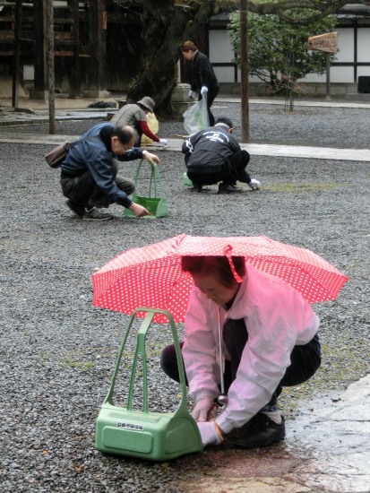 3321-13.3.10本法寺美化　縦　複数.jpg